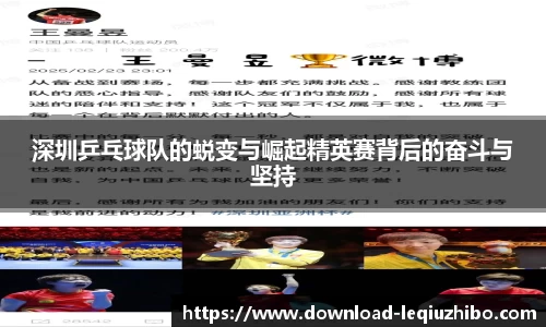 深圳乒乓球队的蜕变与崛起精英赛背后的奋斗与坚持